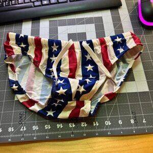 Men's Patriotic Swim Brief - Medium
